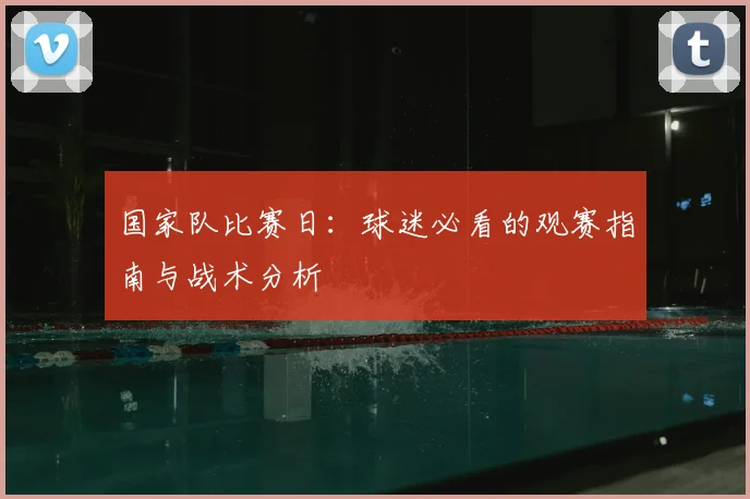 国家队比赛日：球迷必看的观赛指南与战术分析